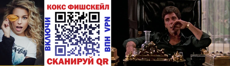 Кокаин FishScale  где купить наркоту  Красный Холм 
