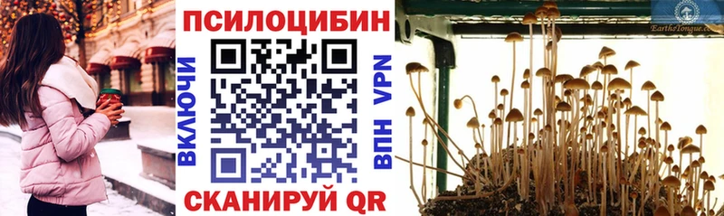 MEGA сайт  как найти закладки  Красный Холм  Псилоцибиновые грибы GOLDEN TEACHER 